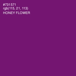 #731571 - Honey Flower Color Image