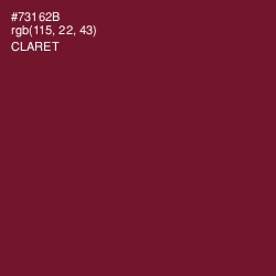 #73162B - Claret Color Image