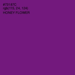 #73187C - Honey Flower Color Image