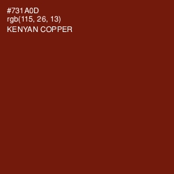 #731A0D - Kenyan Copper Color Image