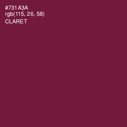 #731A3A - Claret Color Image