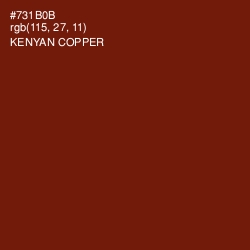 #731B0B - Kenyan Copper Color Image