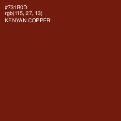 #731B0D - Kenyan Copper Color Image