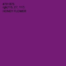 #731B75 - Honey Flower Color Image