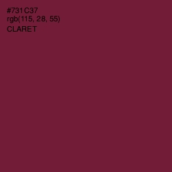 #731C37 - Claret Color Image