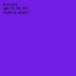 #731CE3 - Purple Heart Color Image