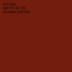 #731E0C - Kenyan Copper Color Image