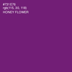 #731E76 - Honey Flower Color Image