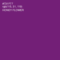 #731F77 - Honey Flower Color Image