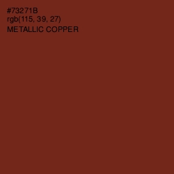 #73271B - Metallic Copper Color Image