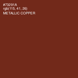 #73291A - Metallic Copper Color Image