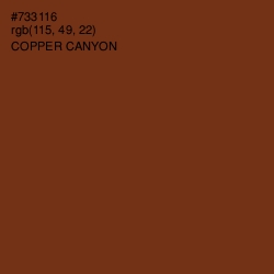 #733116 - Copper Canyon Color Image