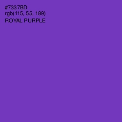 #7337BD - Royal Purple Color Image