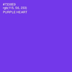 #7338E9 - Purple Heart Color Image