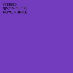 #733BBD - Royal Purple Color Image