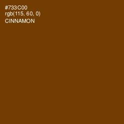 #733C00 - Cinnamon Color Image