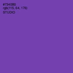 #7340B0 - Studio Color Image