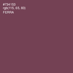 #734153 - Ferra Color Image