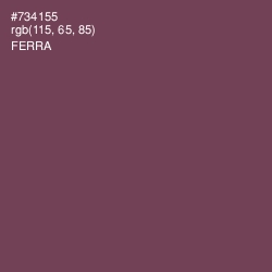 #734155 - Ferra Color Image