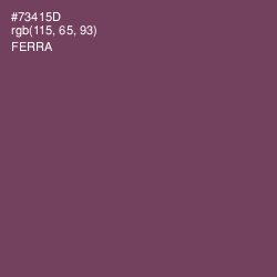 #73415D - Ferra Color Image