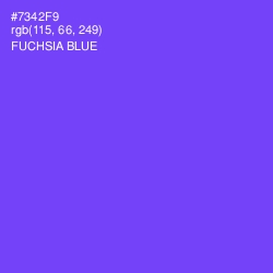 #7342F9 - Fuchsia Blue Color Image