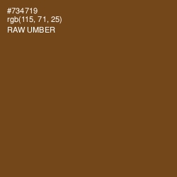 #734719 - Raw Umber Color Image