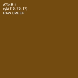 #734B11 - Raw Umber Color Image