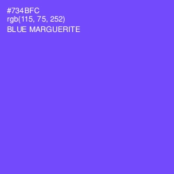 #734BFC - Blue Marguerite Color Image