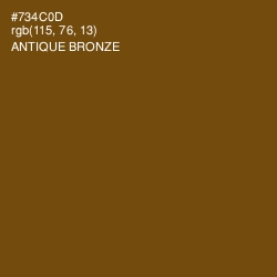 #734C0D - Antique Bronze Color Image