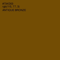 #734D03 - Antique Bronze Color Image