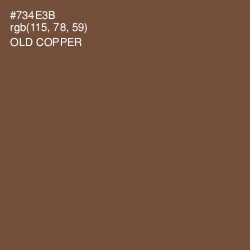 #734E3B - Old Copper Color Image