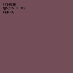 #734E58 - Ferra Color Image