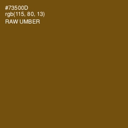 #73500D - Raw Umber Color Image
