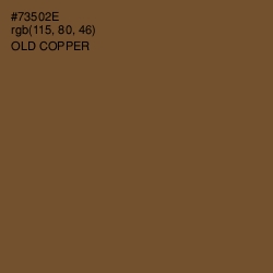 #73502E - Old Copper Color Image