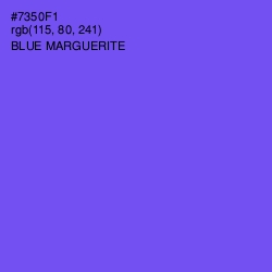 #7350F1 - Blue Marguerite Color Image