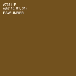 #73511F - Raw Umber Color Image