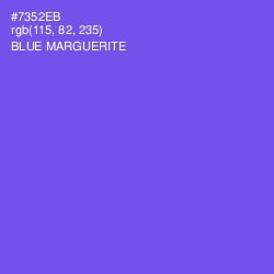 #7352EB - Blue Marguerite Color Image