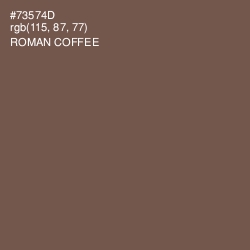 #73574D - Roman Coffee Color Image
