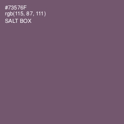 #73576F - Salt Box Color Image