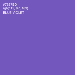 #7357BD - Blue Violet Color Image