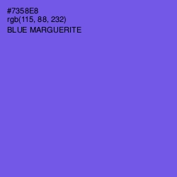 #7358E8 - Blue Marguerite Color Image