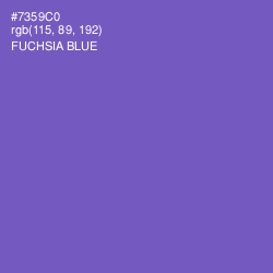 #7359C0 - Fuchsia Blue Color Image