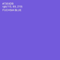 #7359DB - Fuchsia Blue Color Image