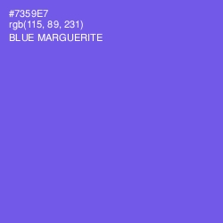 #7359E7 - Blue Marguerite Color Image