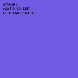 #735AE4 - Blue Marguerite Color Image