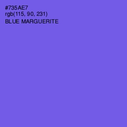 #735AE7 - Blue Marguerite Color Image