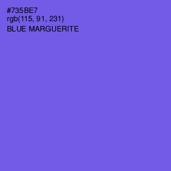 #735BE7 - Blue Marguerite Color Image