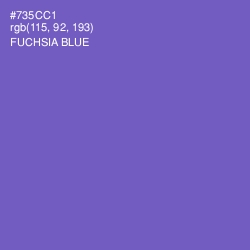 #735CC1 - Fuchsia Blue Color Image