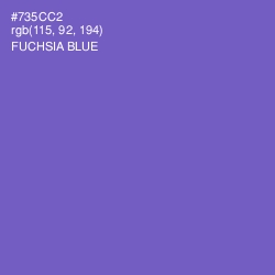 #735CC2 - Fuchsia Blue Color Image