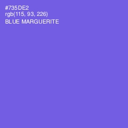 #735DE2 - Blue Marguerite Color Image